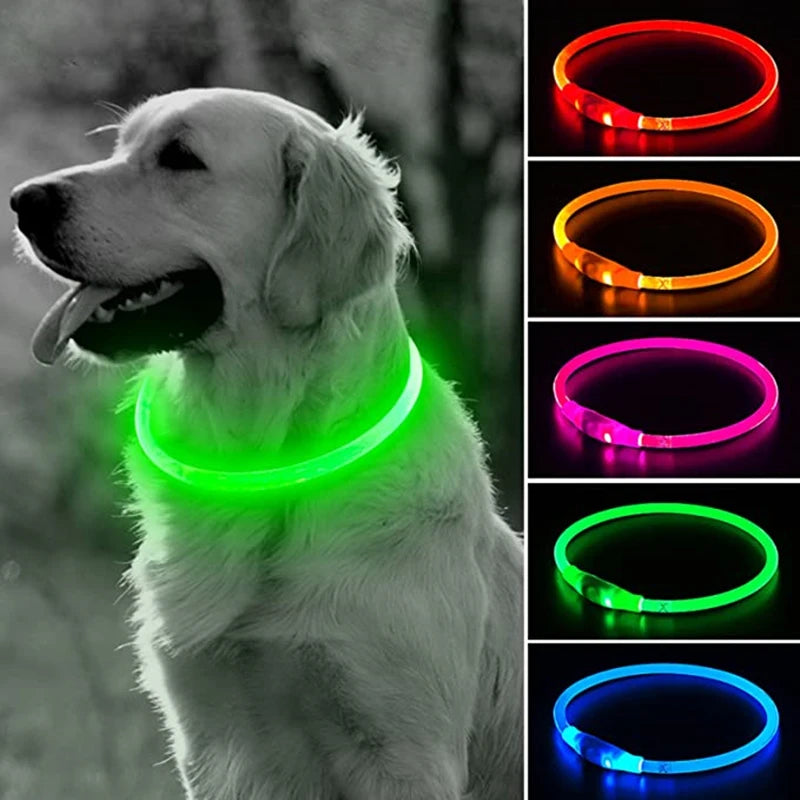 Coleira de Led Canina Recarregável