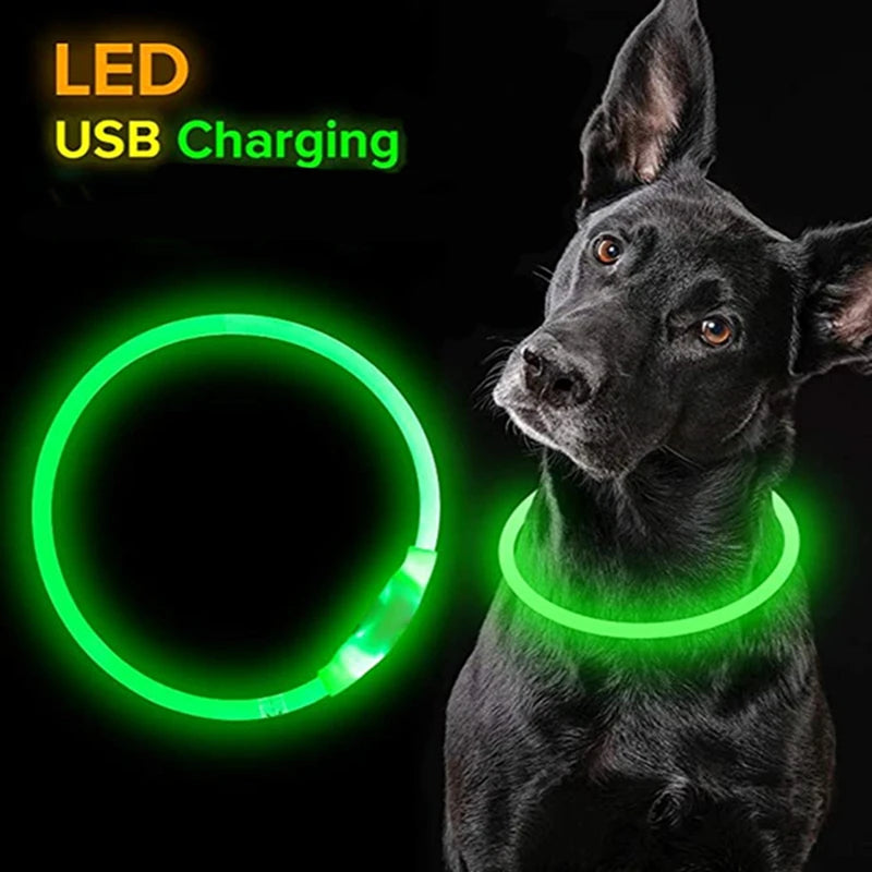 Coleira de Led Canina Recarregável